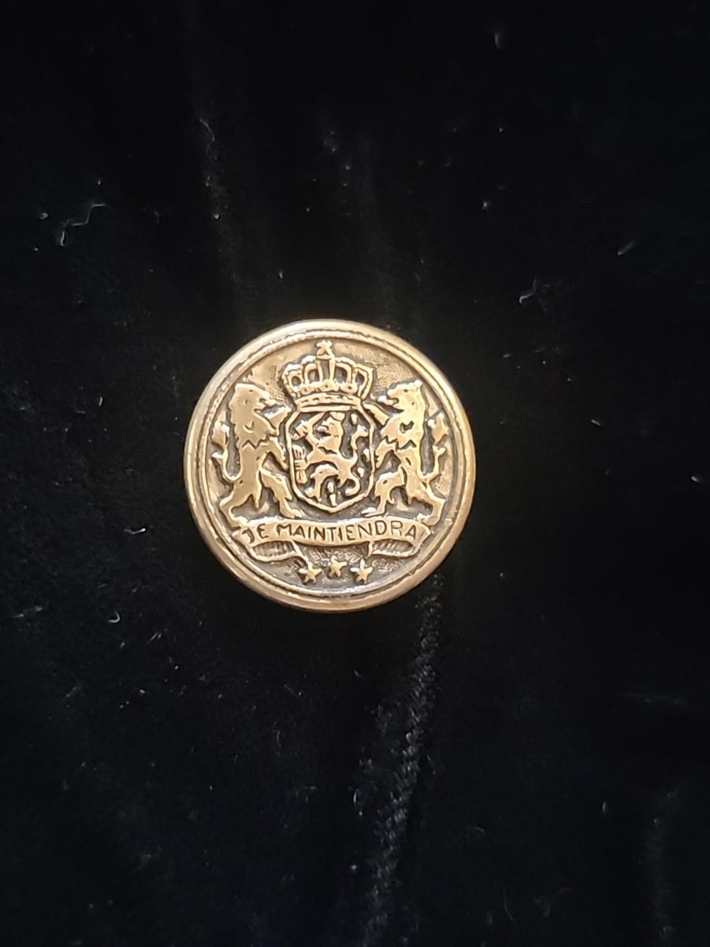 Vintage Dutch Netherlands Je Maintiendrai Uniform Button 25mm Royal Crest